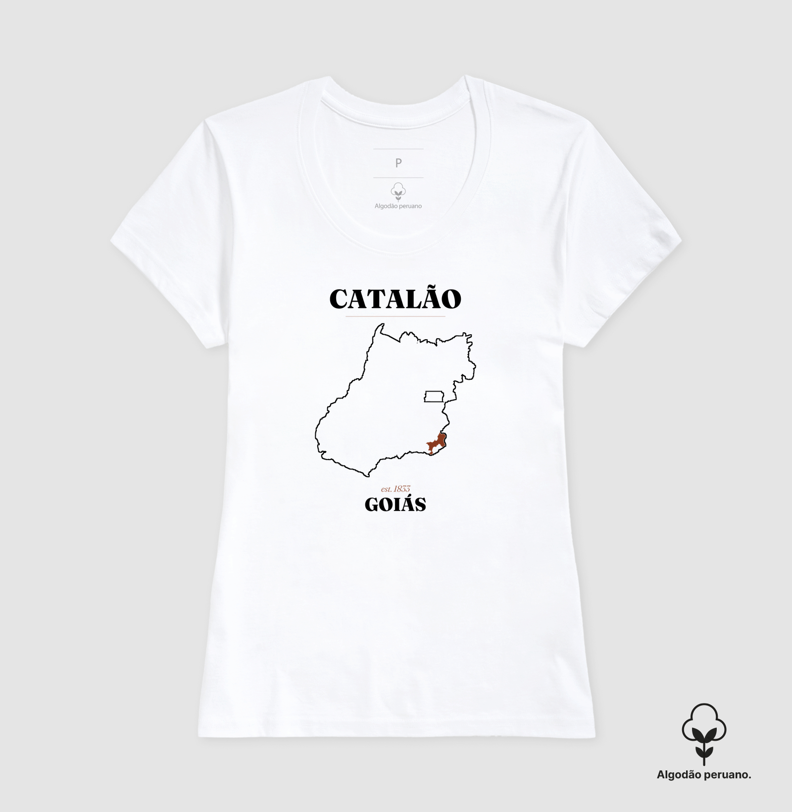 Catalão | Legado GO - Imagem 2