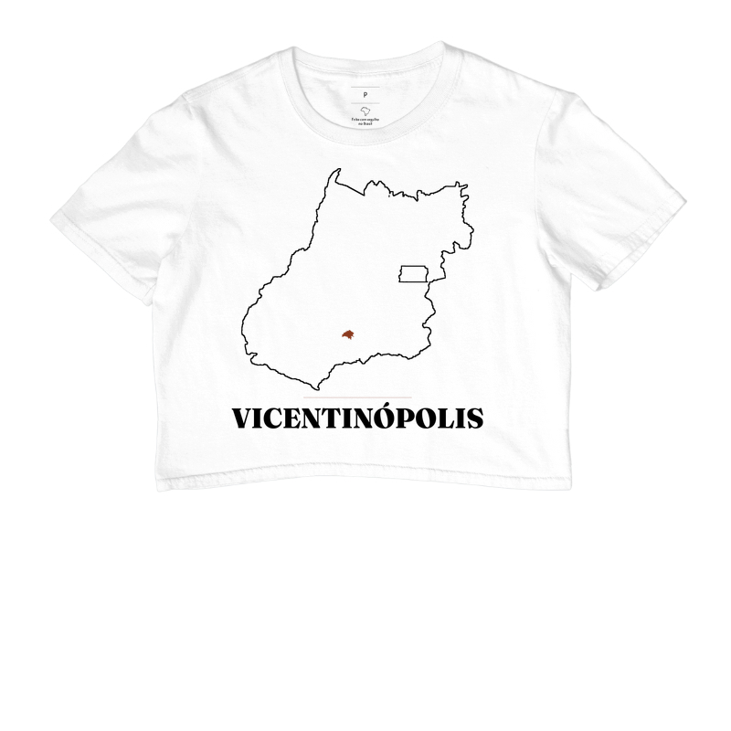 Vicentinópolis | Traço GO - Imagem 3