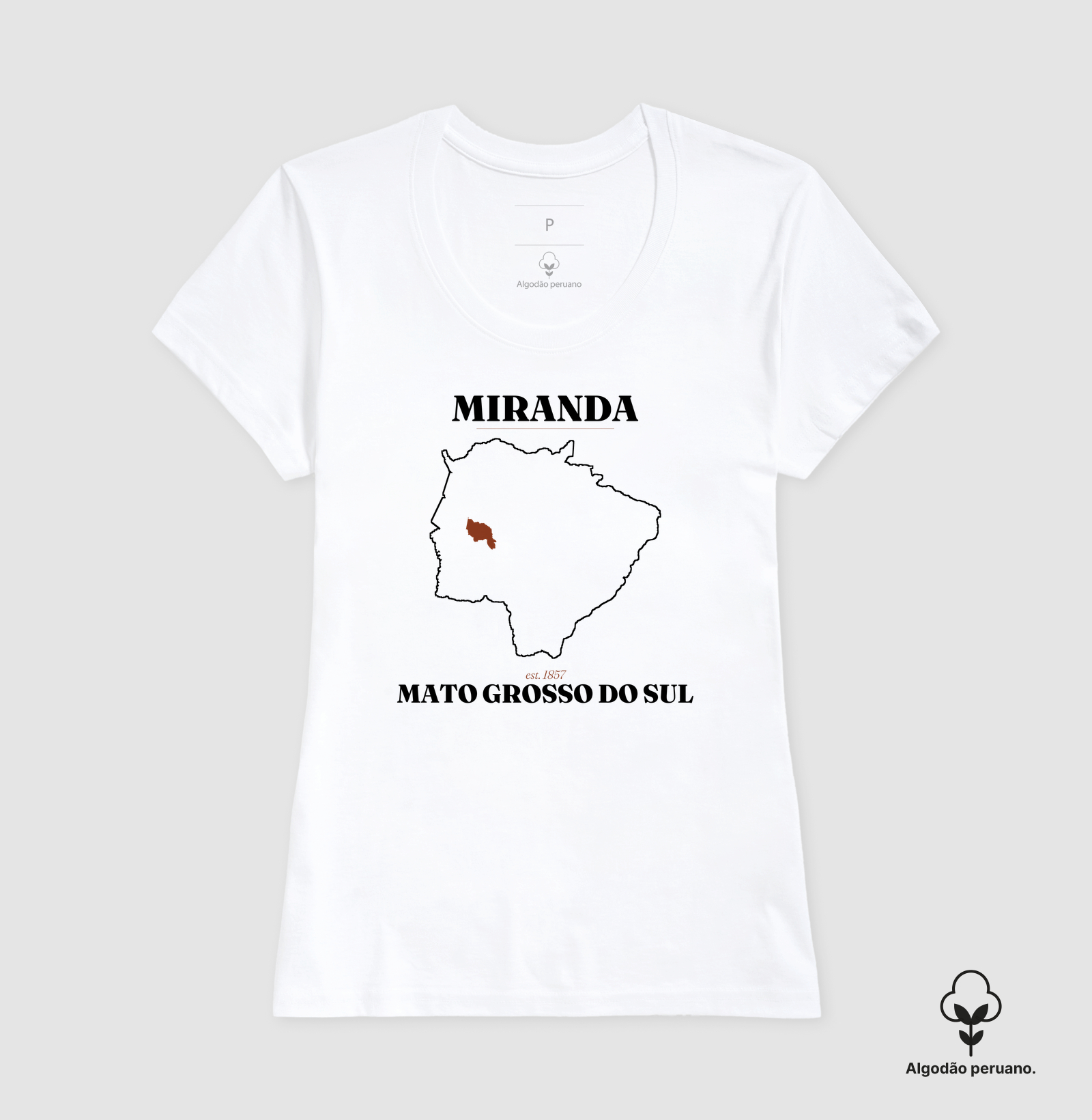 Miranda | Legado MS - Imagem 6