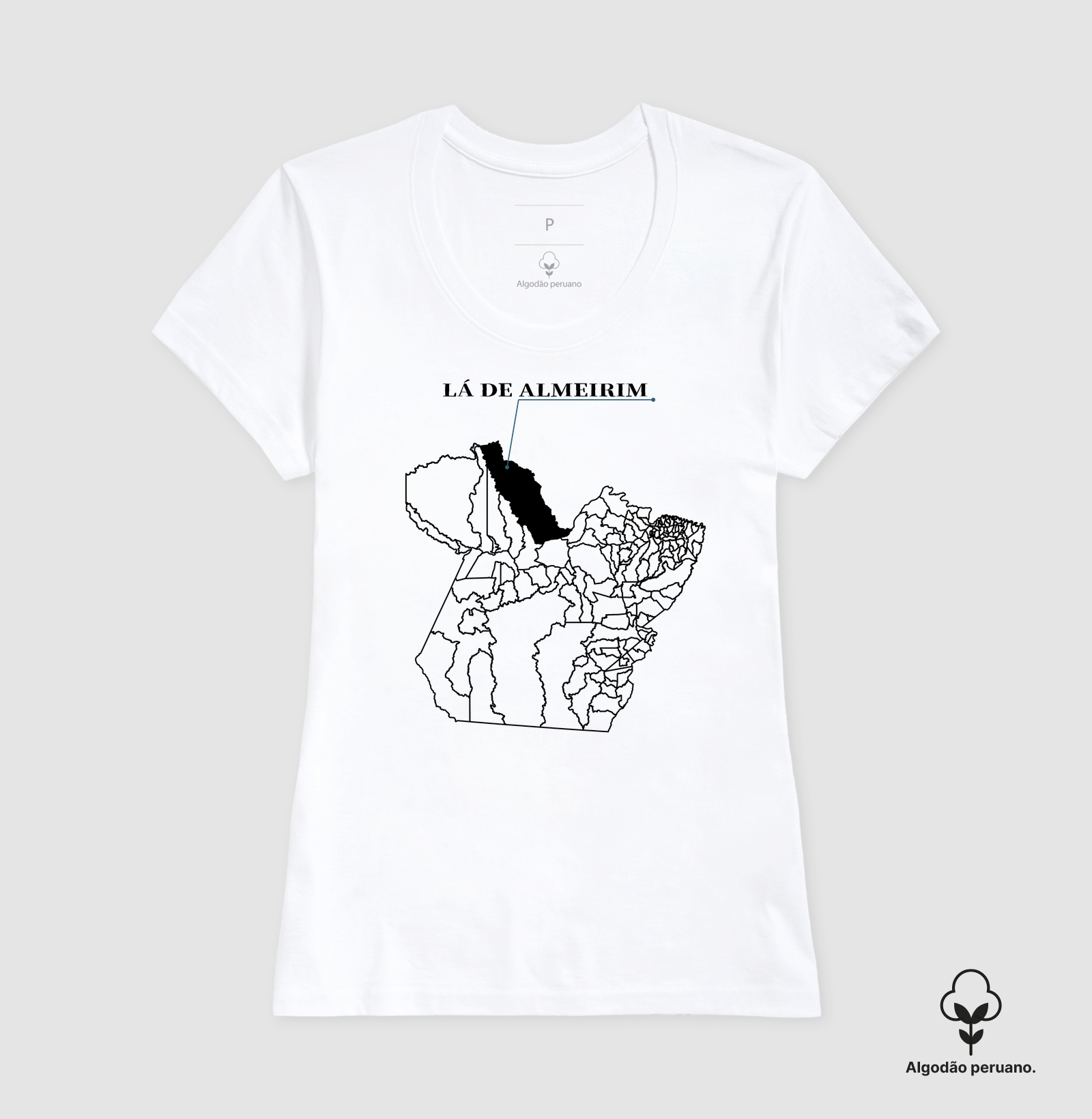 Almeirim | Origem PA - Imagem 4