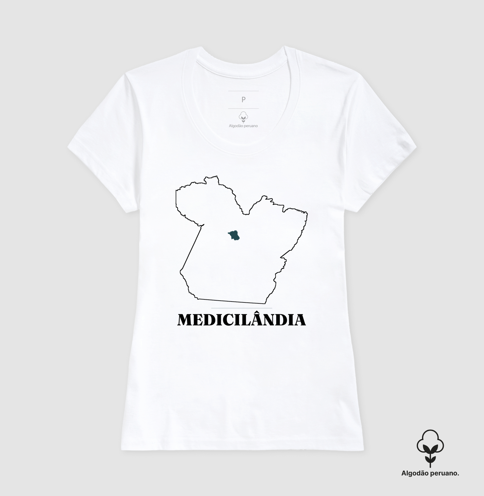 Medicilândia | Traço PA - Imagem 7