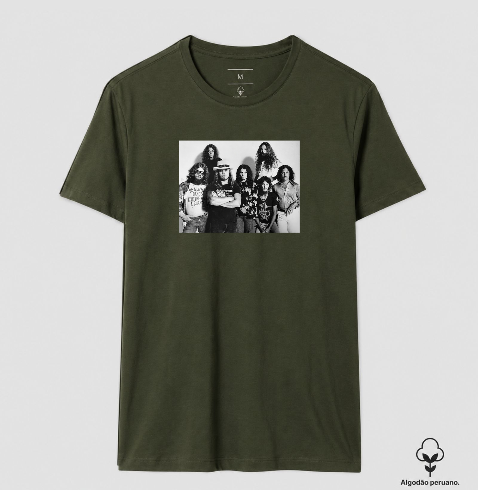 Lynyrd Skynyrd - 1977 - Imagem 3