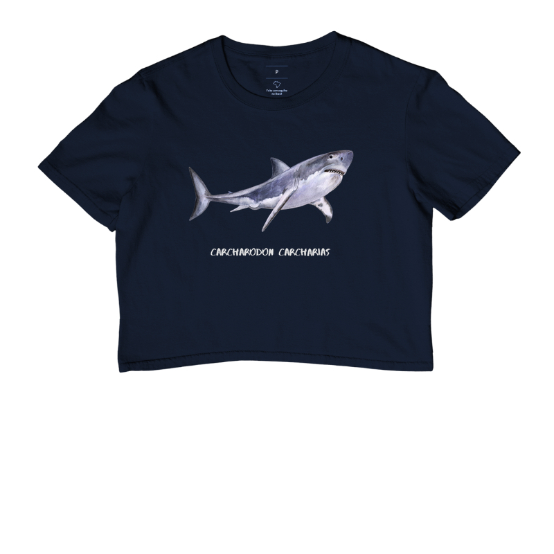 Carcharodon carcharias - Imagem 8