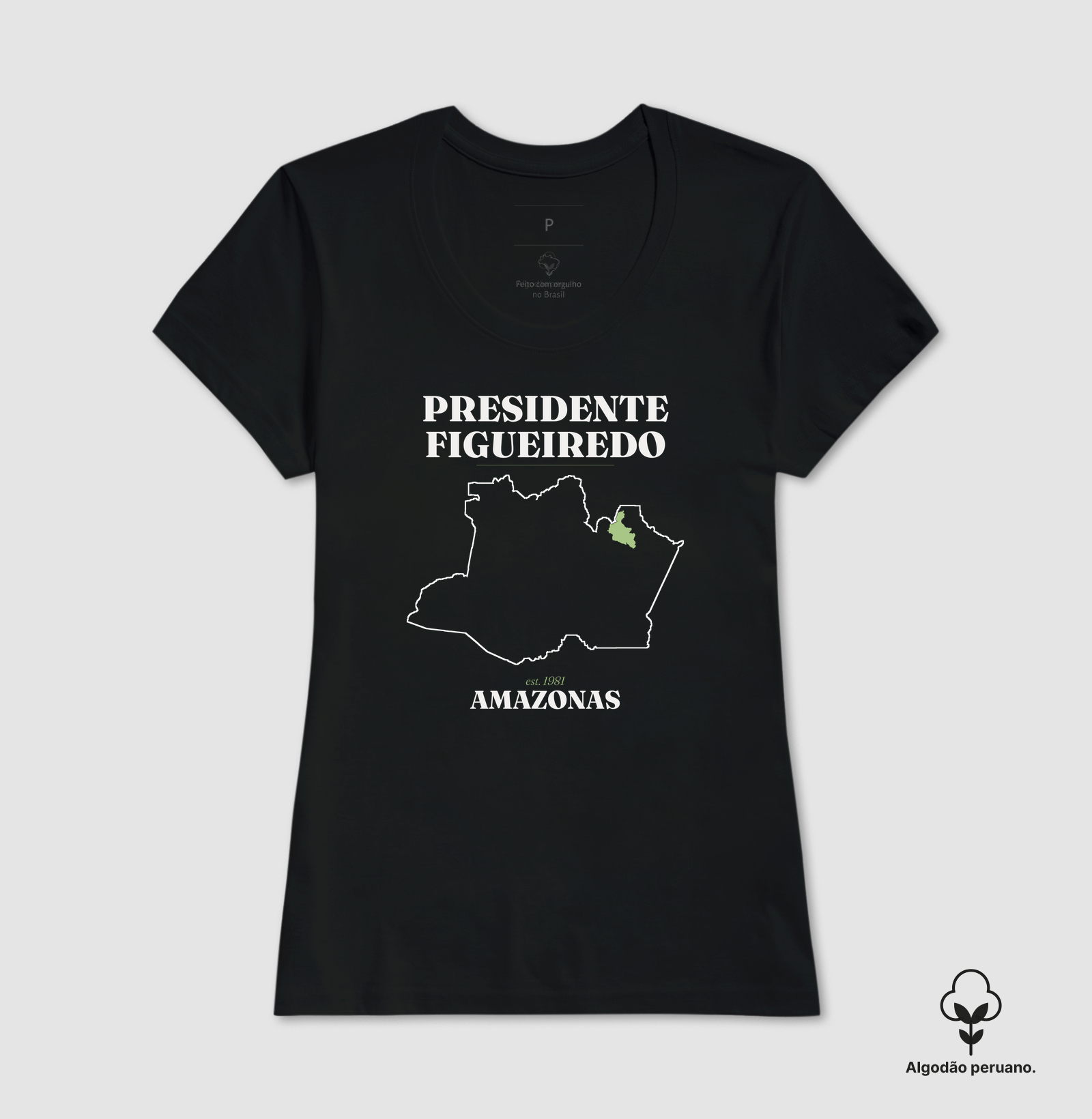 Presidente Figueiredo | Legado AM - Imagem 6