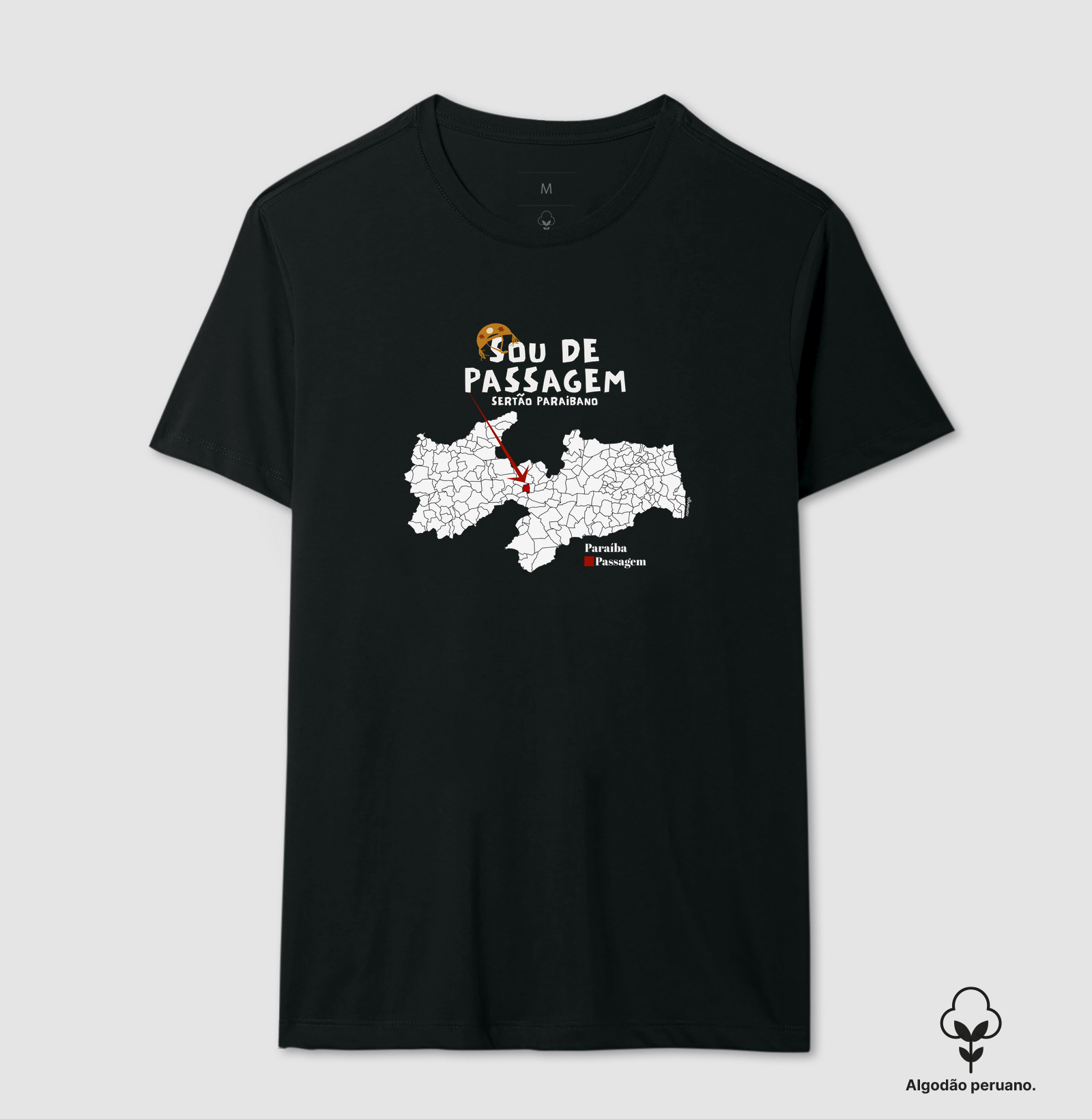Sou de Passagem-PB - Imagem 2