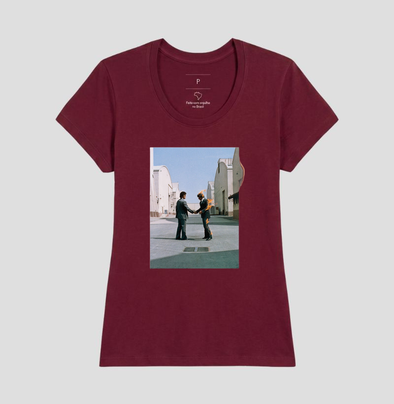 Pink Floyd - Wish You Were Here - Imagem 19