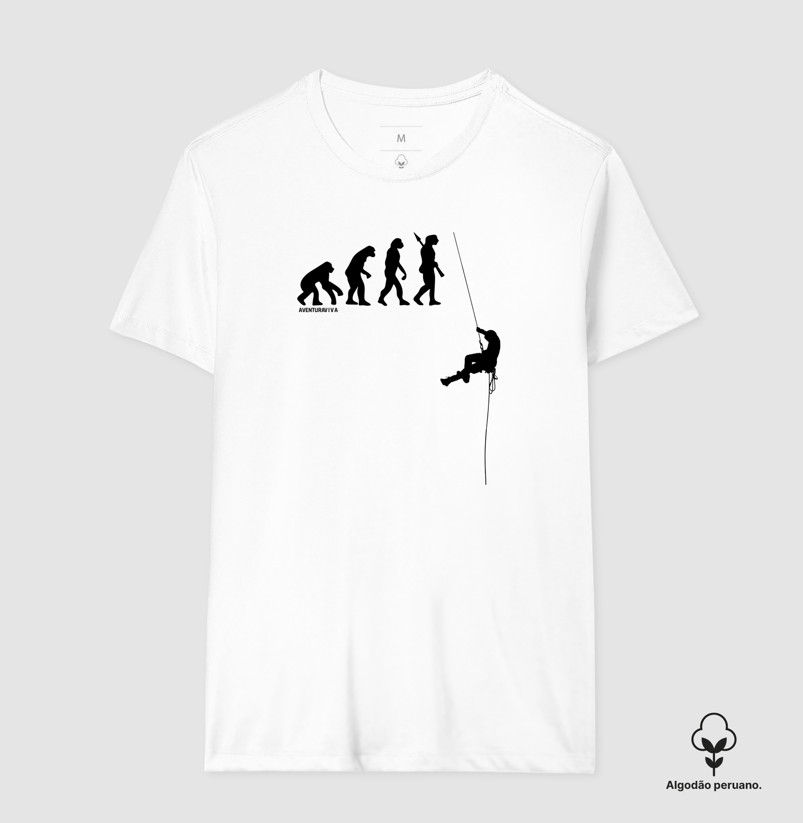 Evolução Rapel - Imagem 4
