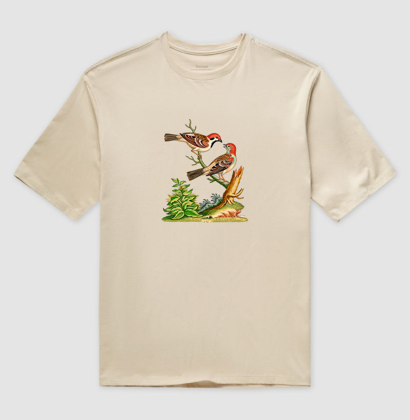 Camiseta Pássaros — História Natural do Século XVIII - Imagem 4