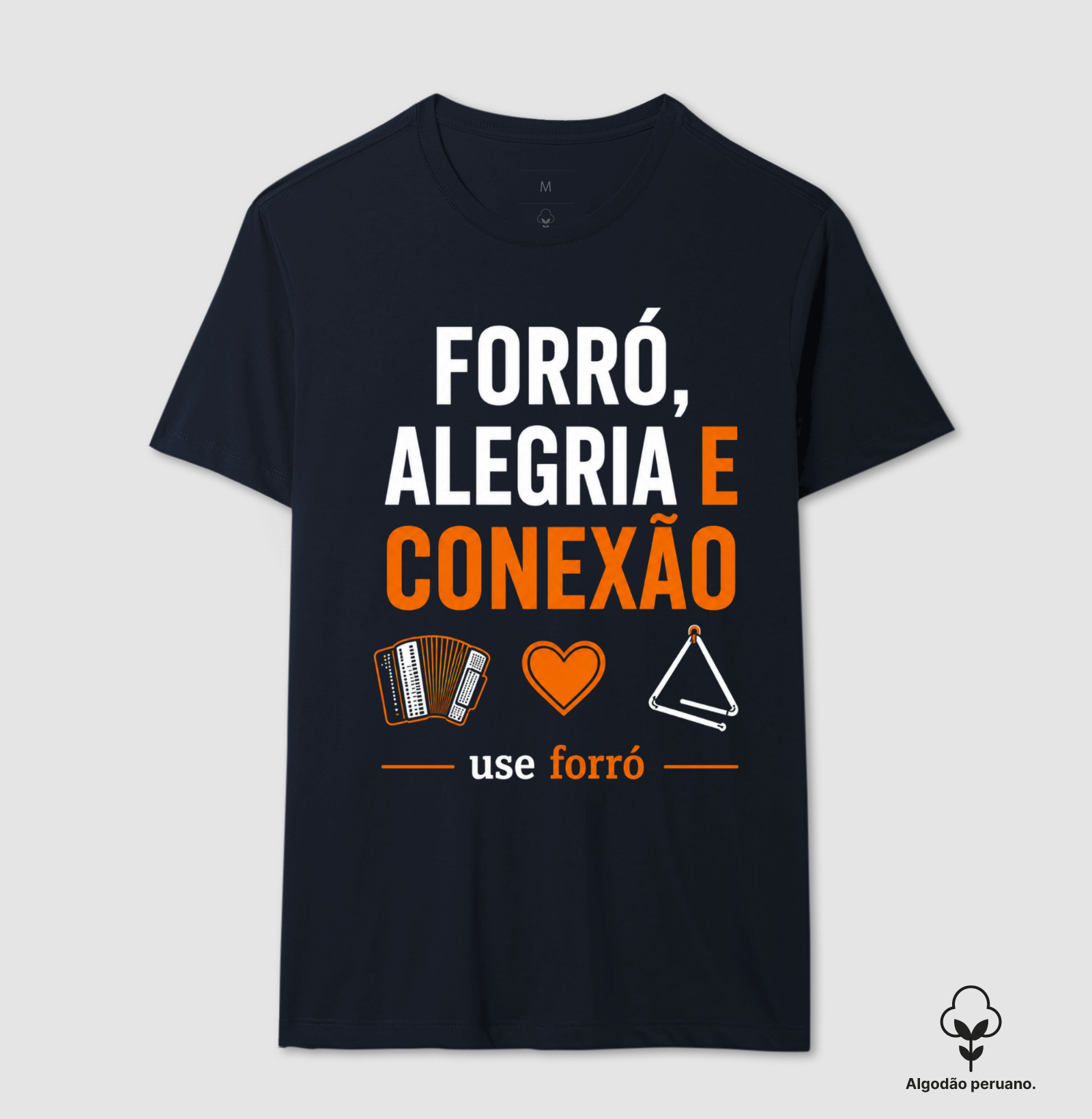 Forró, Alegria e Conexão - Imagem 7