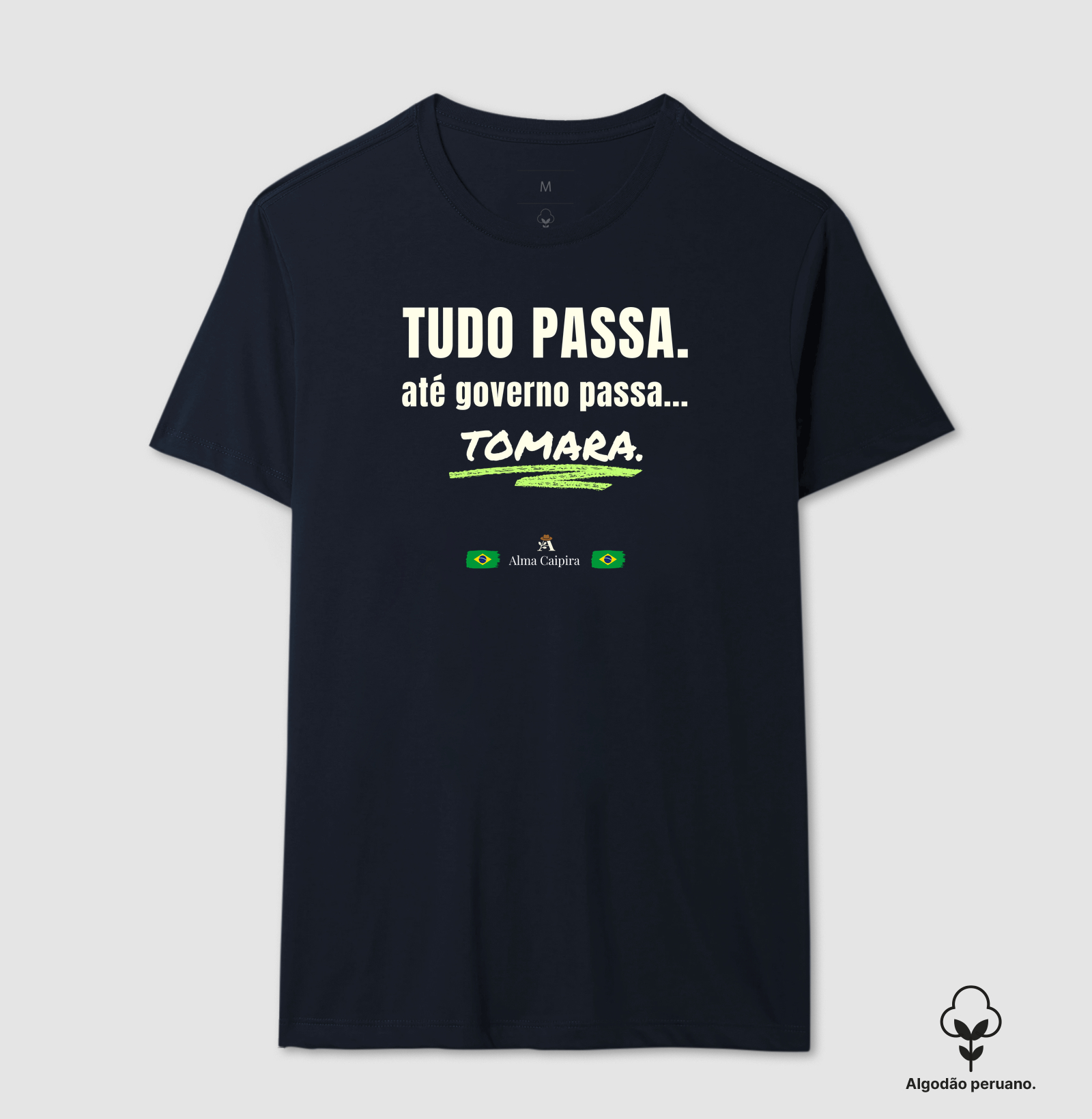 Tudo passa, até governo passa... tomara - Imagem 6