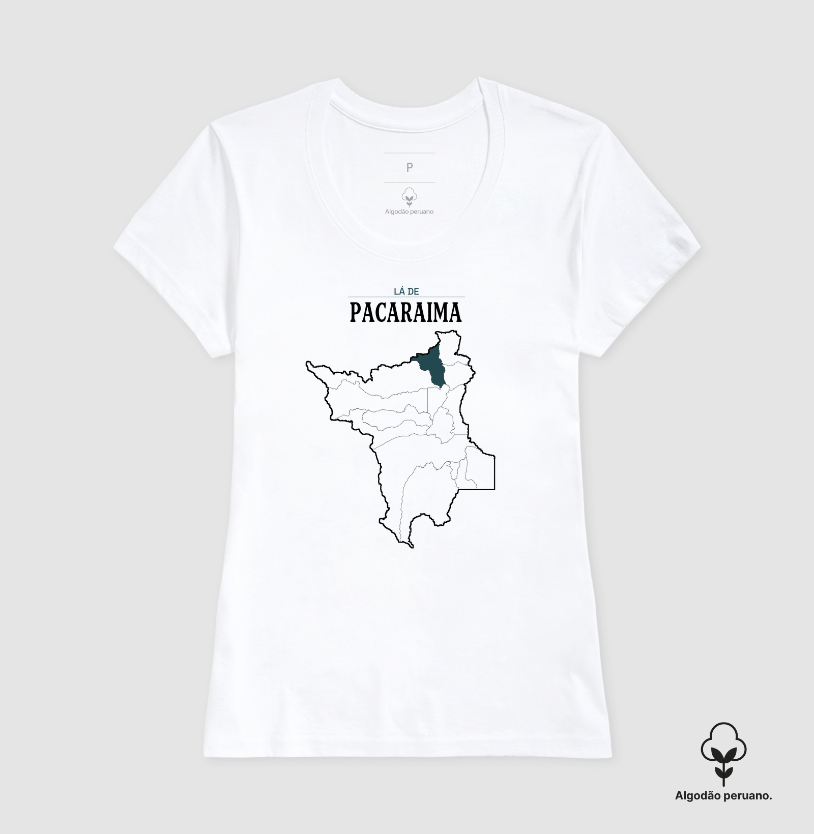 Pacaraima | Território RR - Imagem 6
