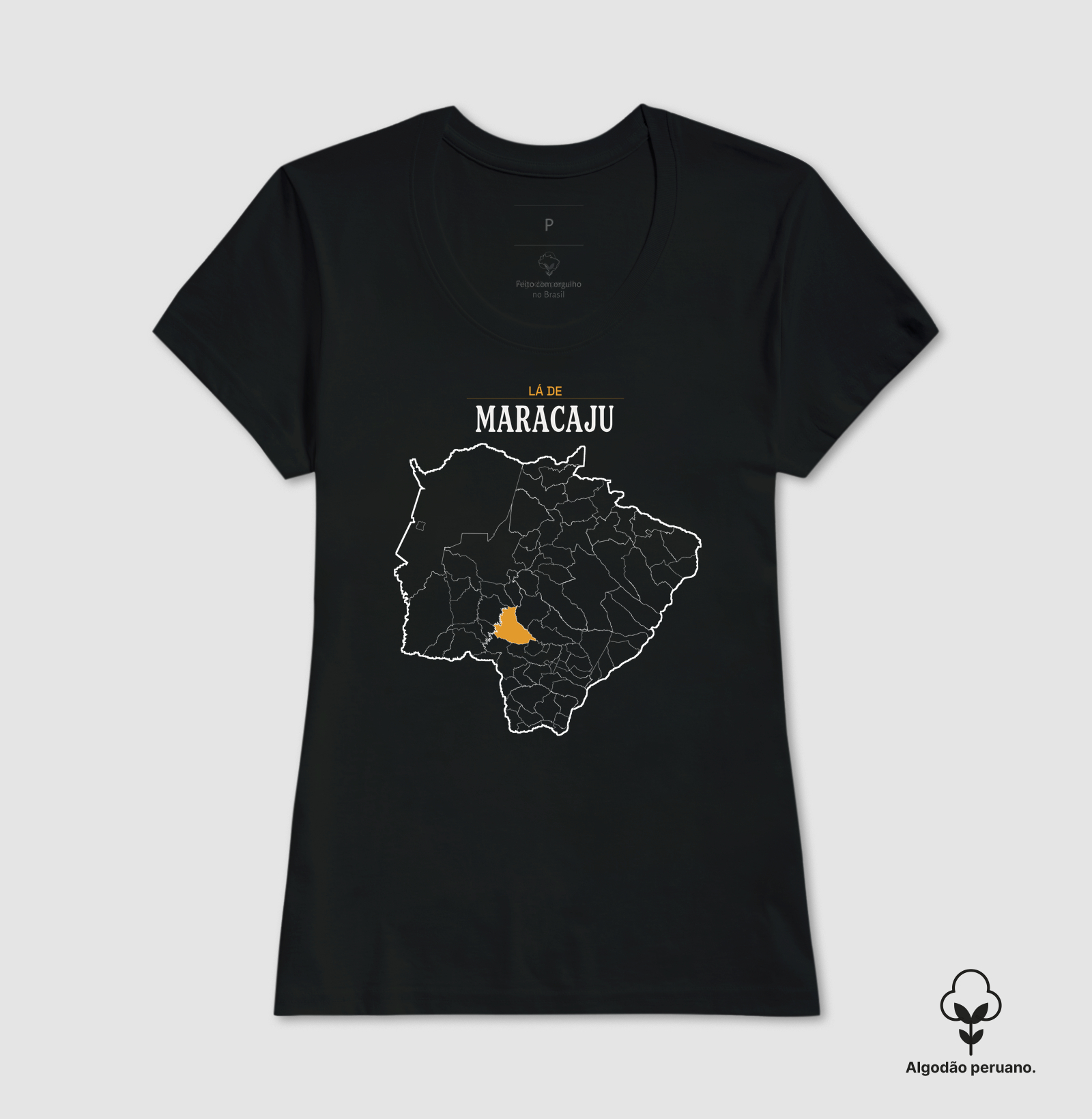 Maracaju | Território MS - Imagem 4