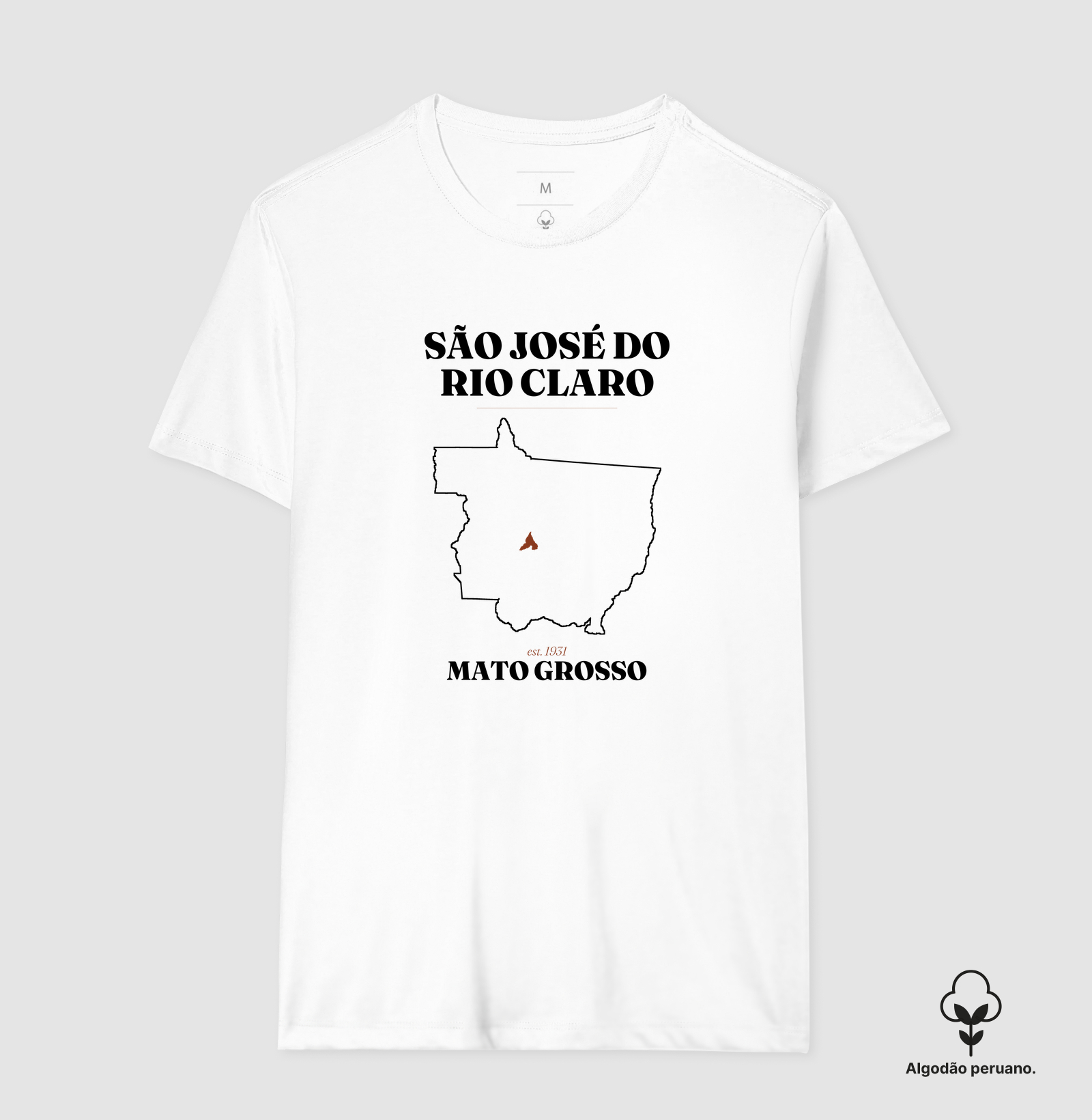 Camisa 2