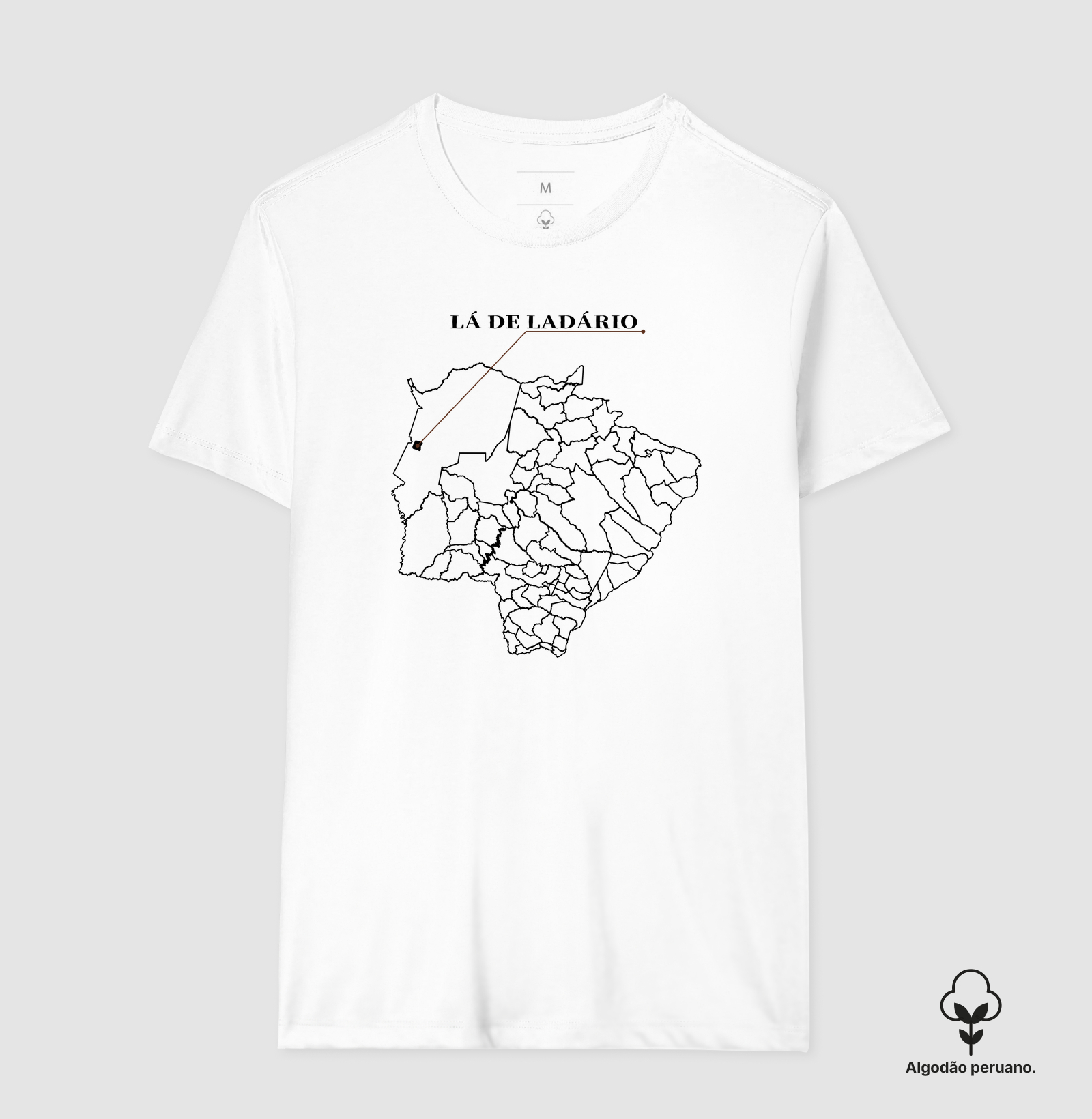 Ladário | Origem MS - Imagem 7