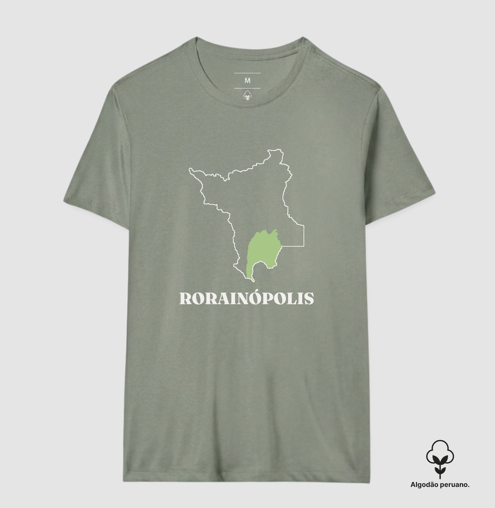 Rorainópolis | Traço RR - Imagem 2