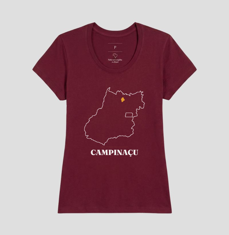 Campinaçu | Traço GO - Imagem 19