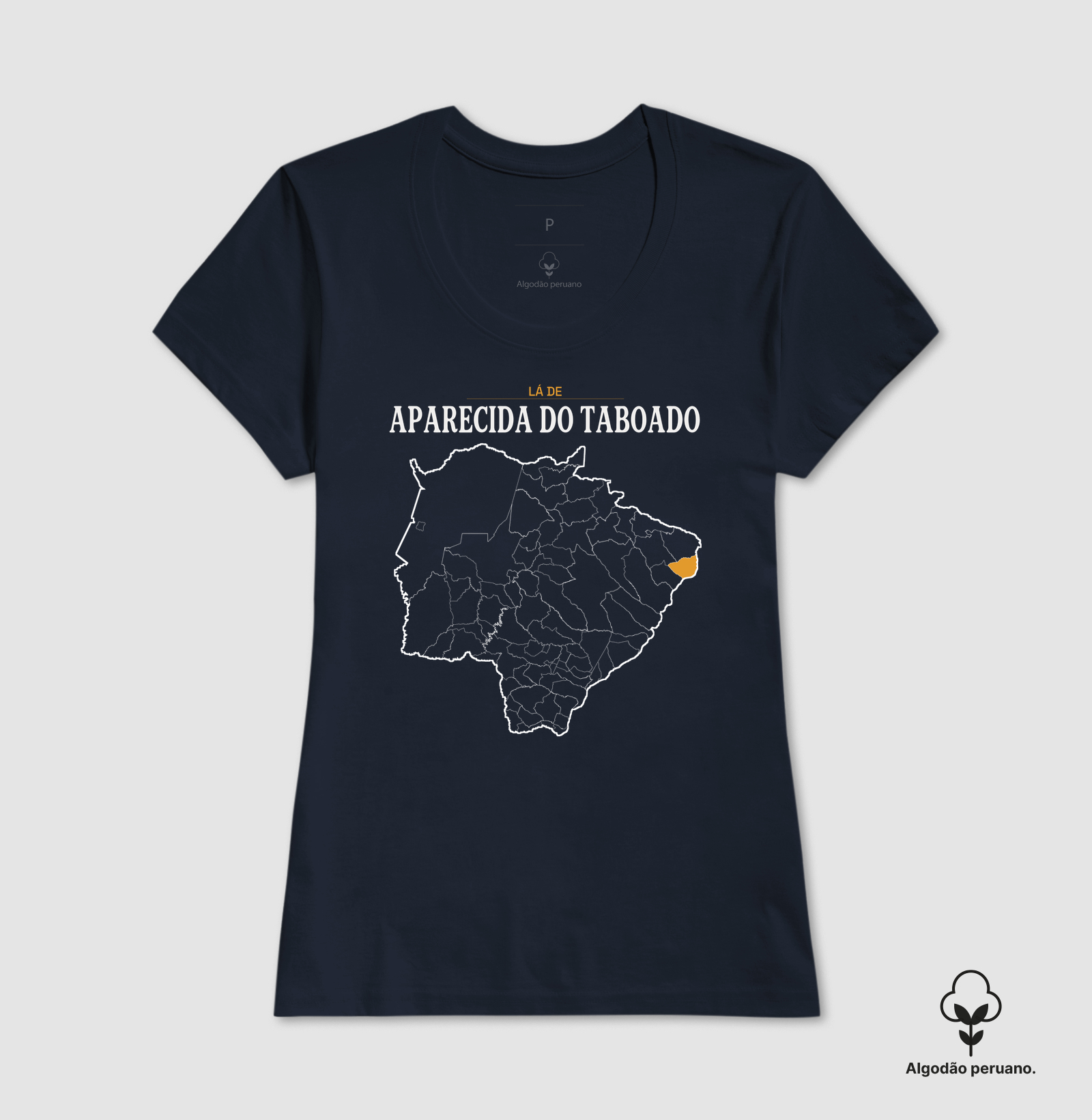 Aparecida do Taboado | Território MS - Imagem 4
