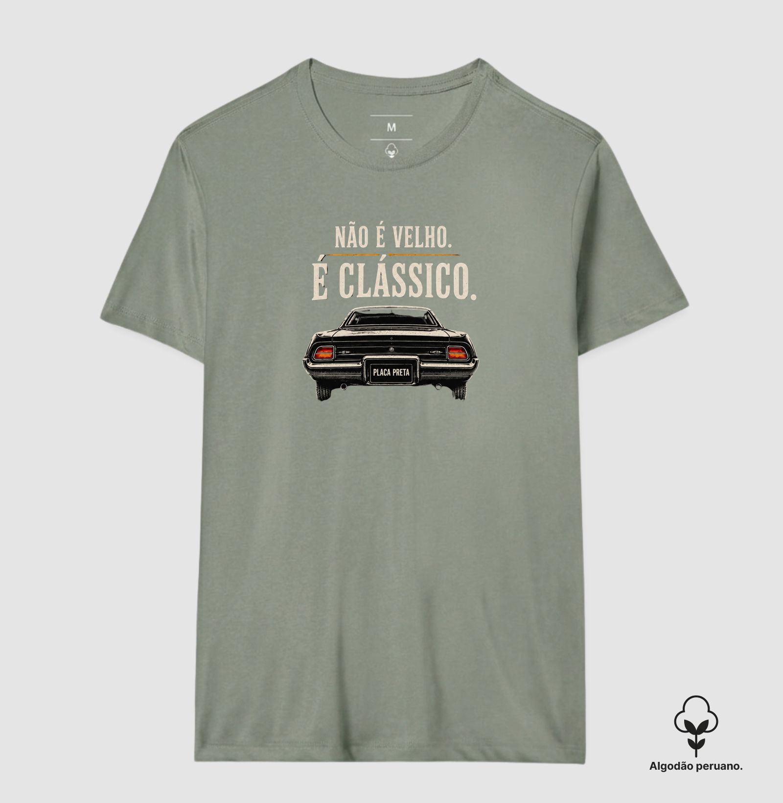 Não é velho, é clássico | Carro - Imagem 2