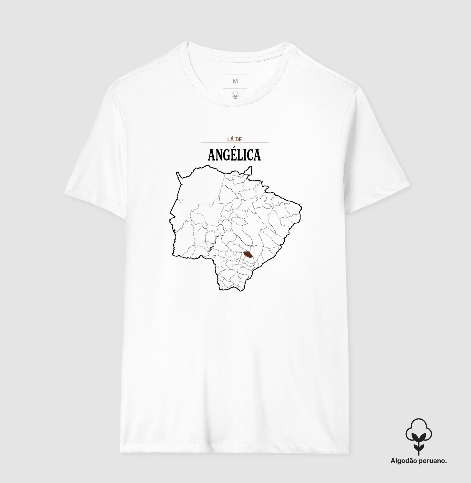 Angélica | Território MS - Imagem 6