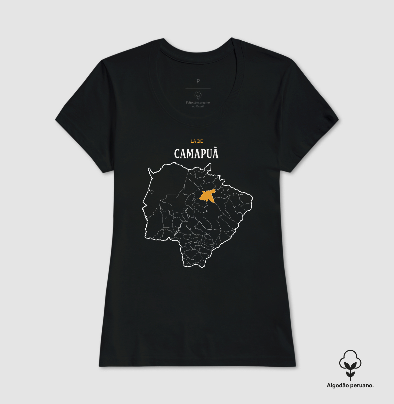 Camapuã | Território MS - Imagem 4