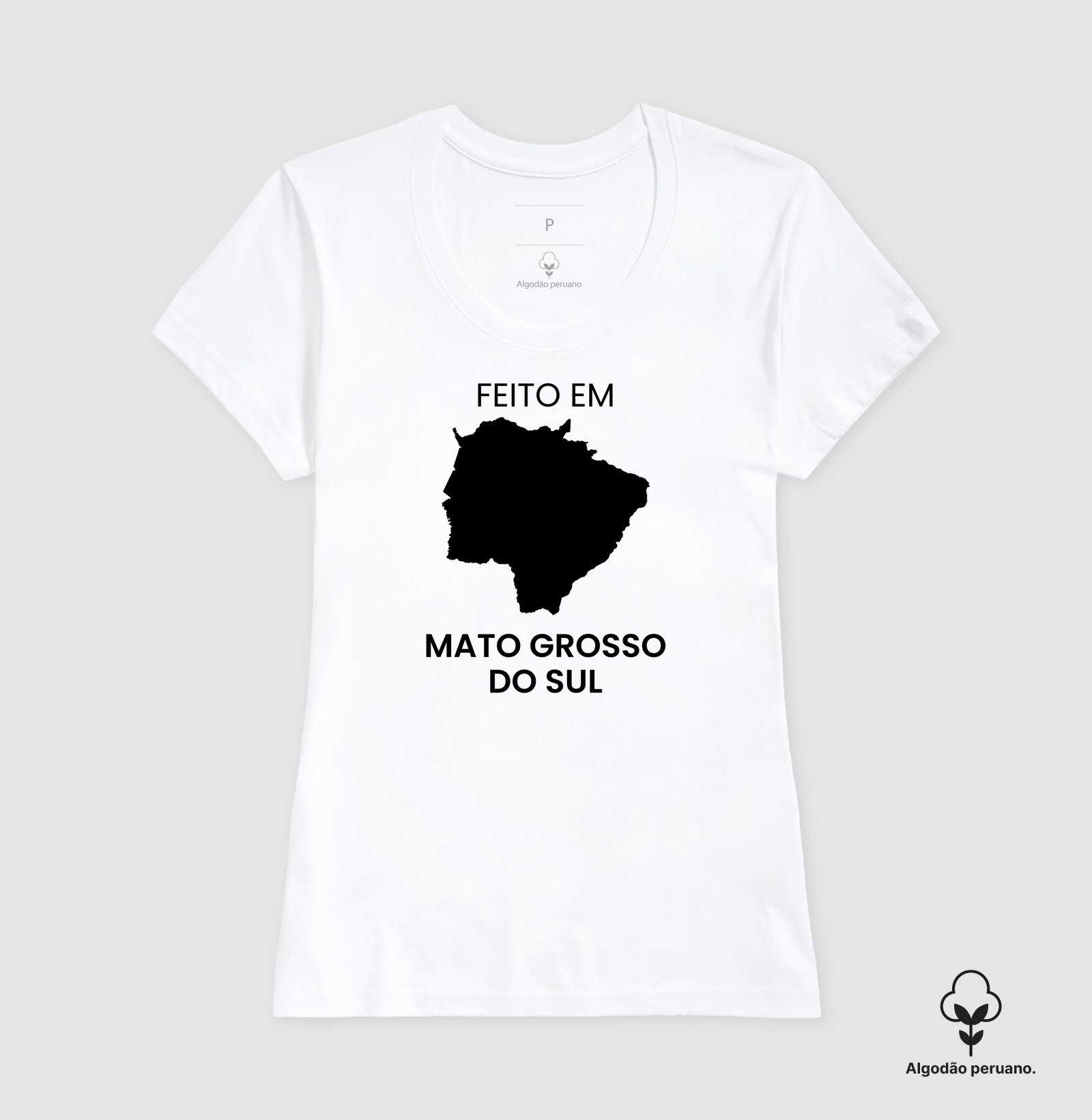 Feito em Mato Grosso do Sul - Imagem 4