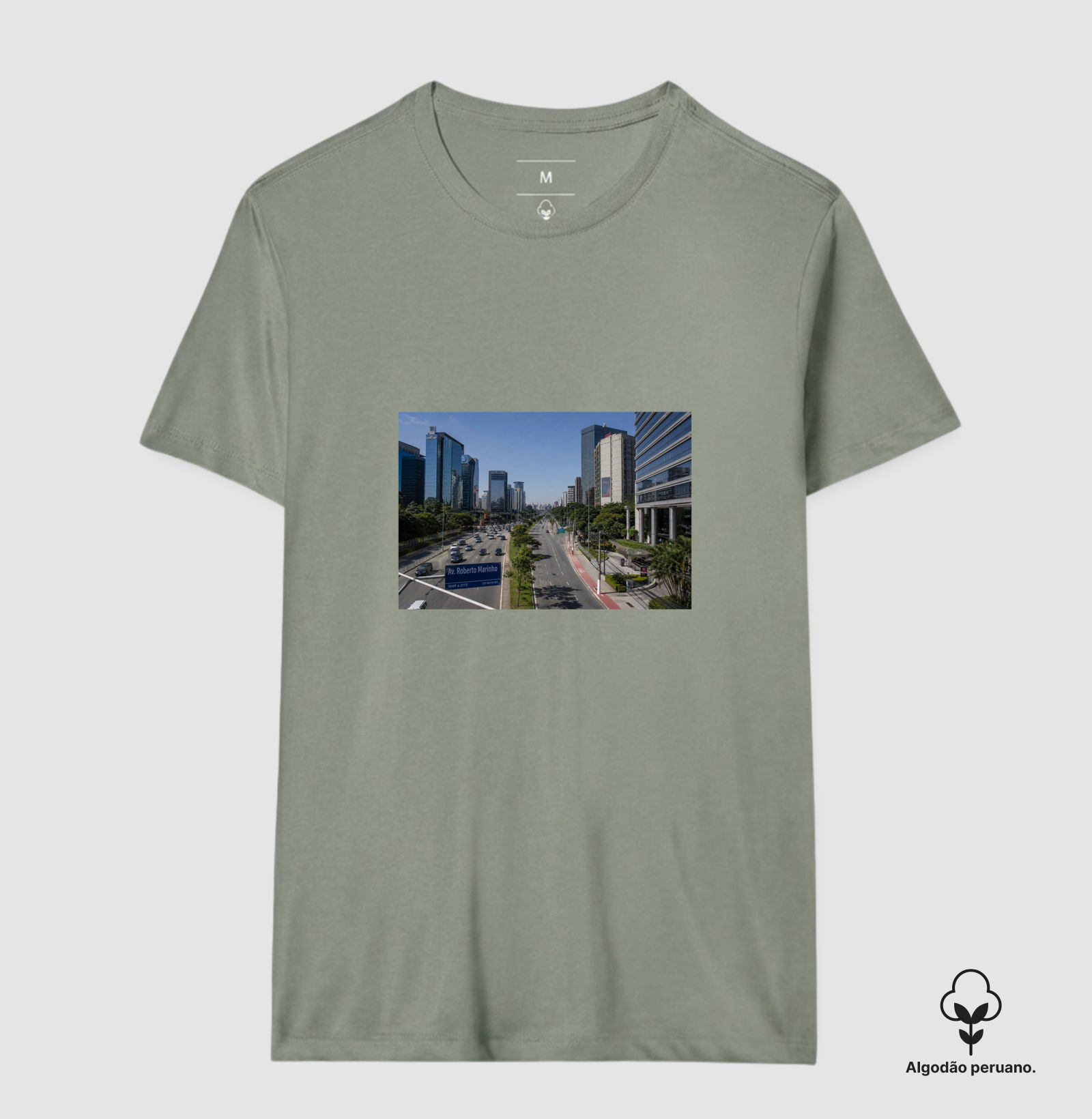 Camisa 2