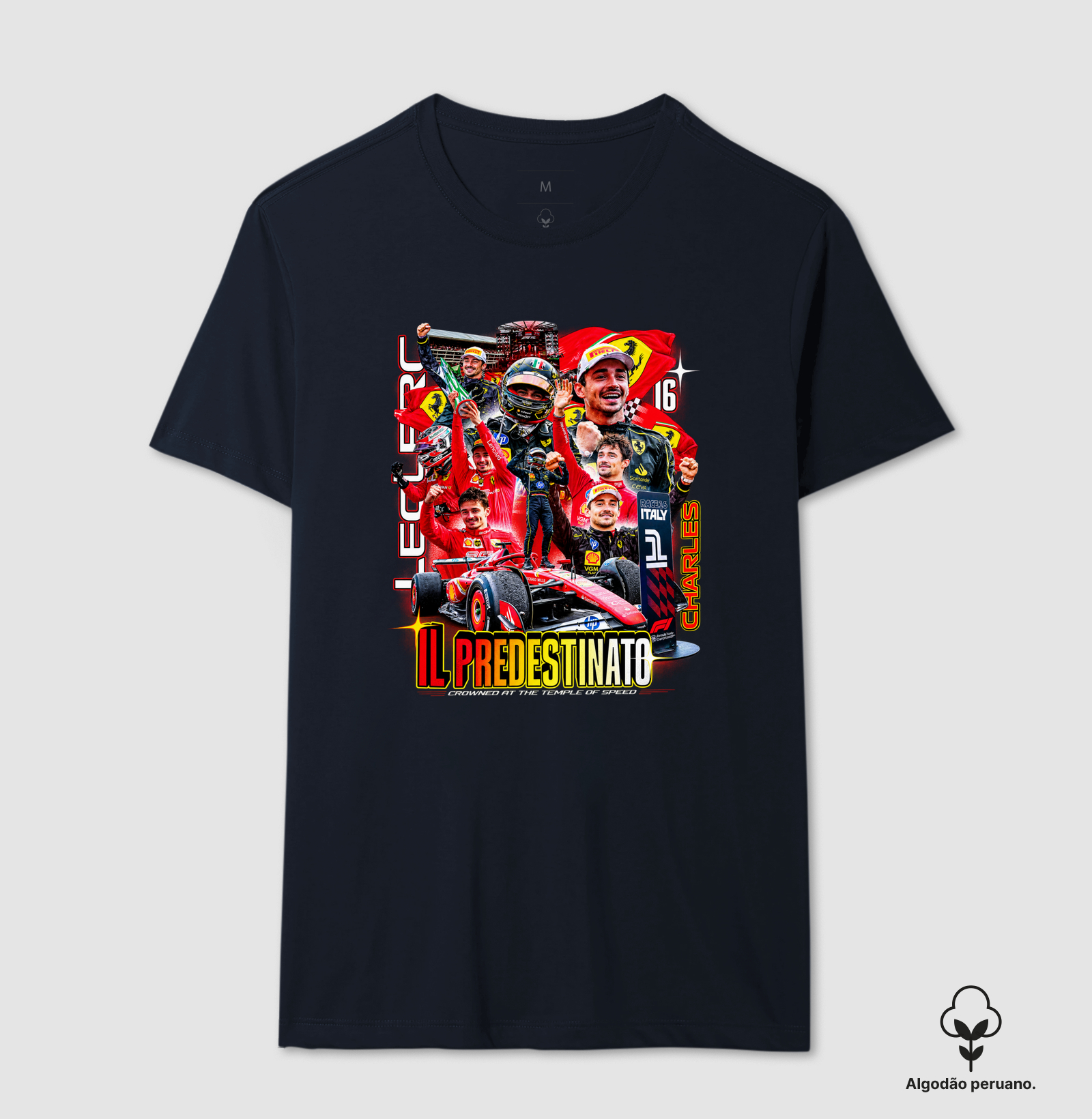 Charles Leclerc edição IL PREDESDINATO (edição limitada) - Imagem 6