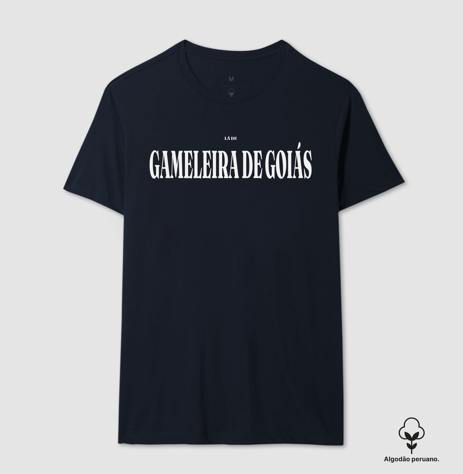 Gameleira de Goiás | Tipografia GO - Imagem 6
