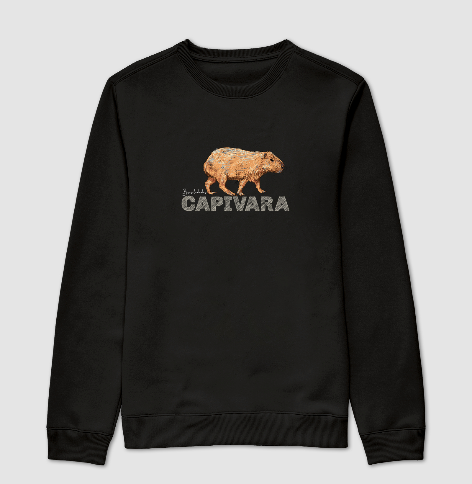 Capivara - Imagem 2