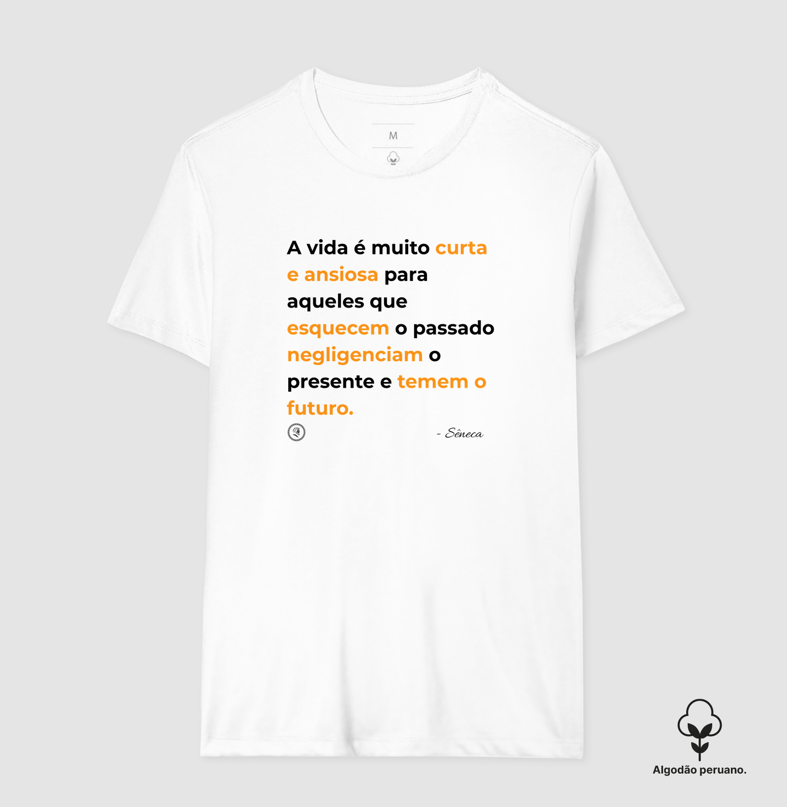 Estoicismo de Sêneca "A vida é muito curta" - Imagem 2