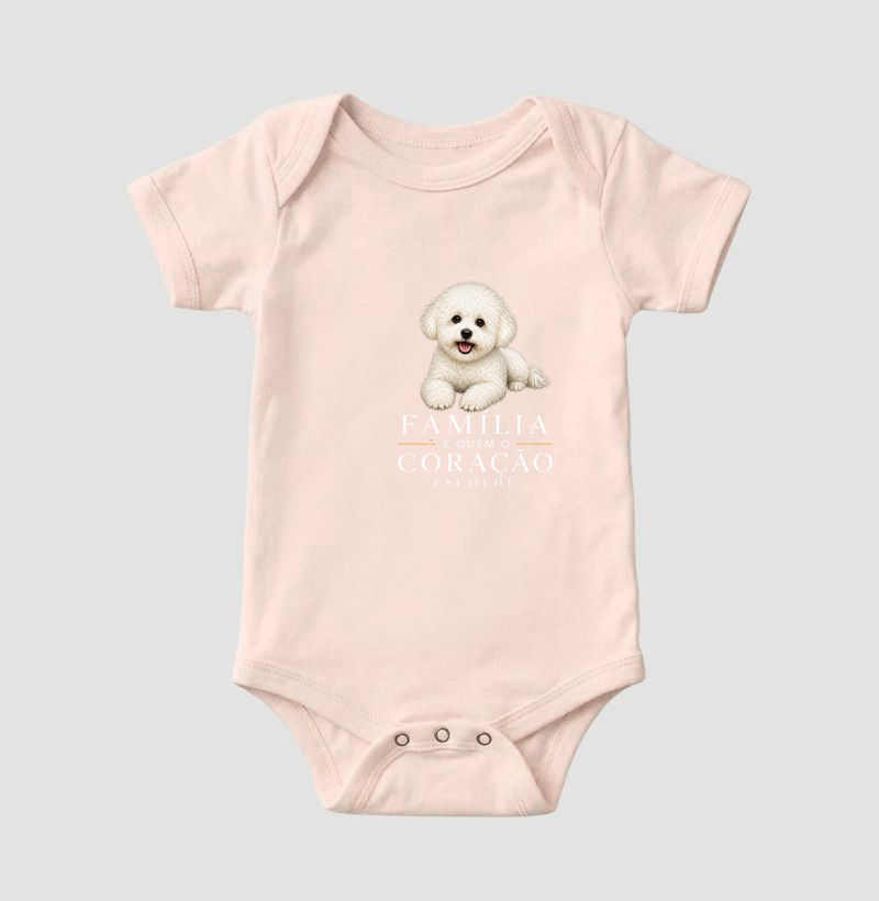 Bichon Bolonhês - Imagem 5