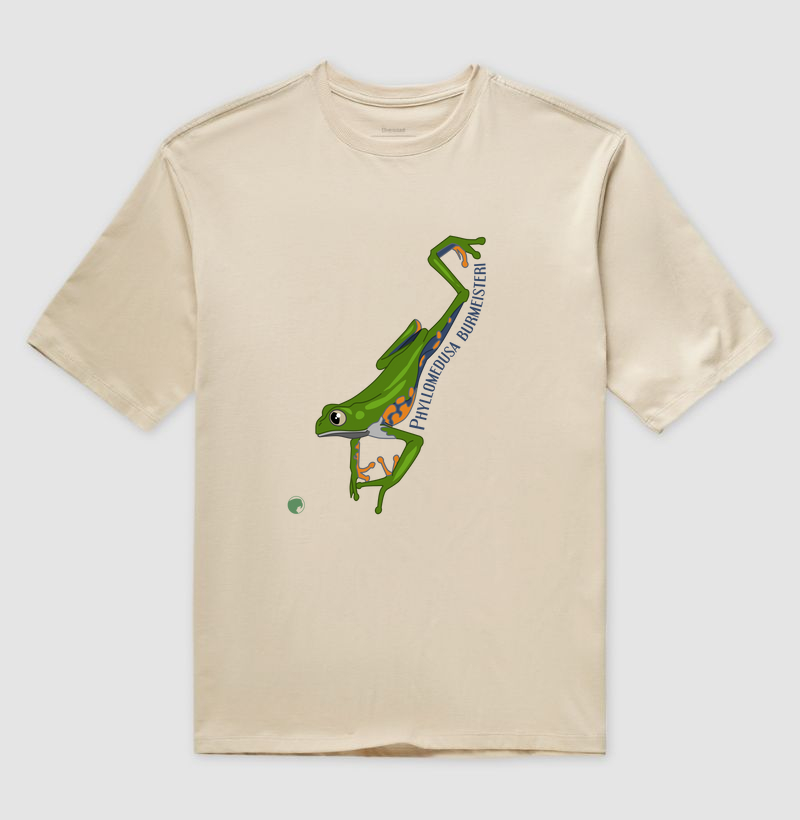 Oversized Phyllomedusa burmeisteri