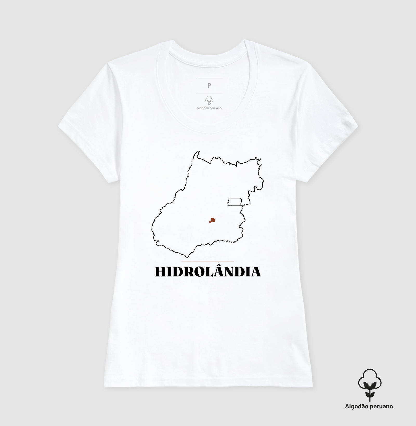 Hidrolândia | Traço GO - Imagem 8