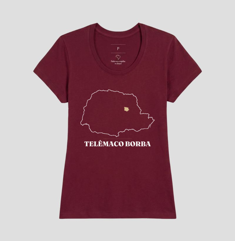 Telêmaco Borba | Traço PR - Imagem 19