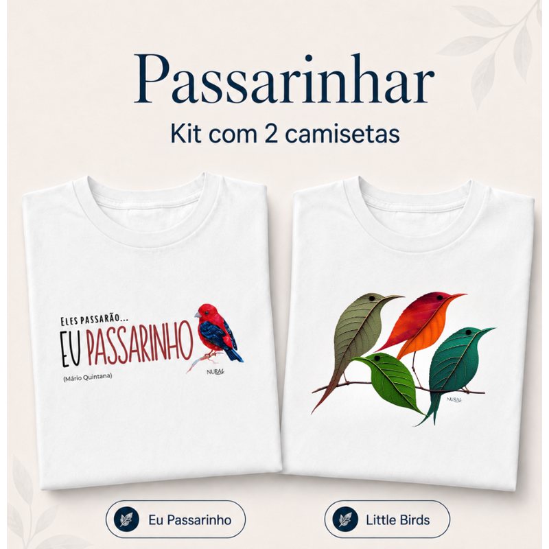 Passarinhar 