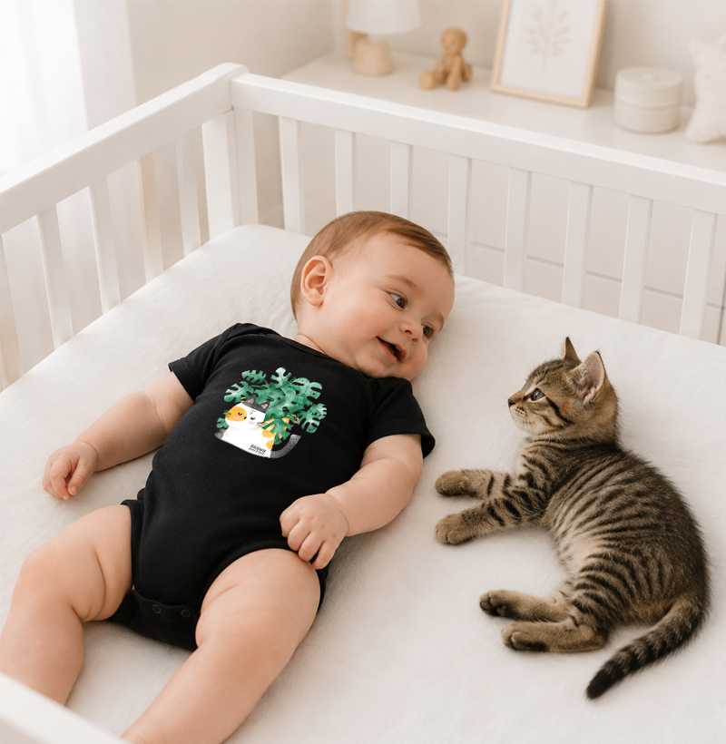 Gatinho branco e folhas de costela de Adão - Imagem 2