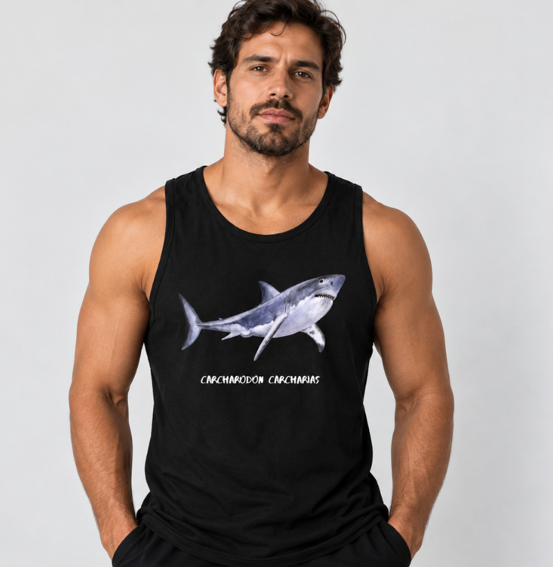 Carcharodon carcharias - Imagem 2