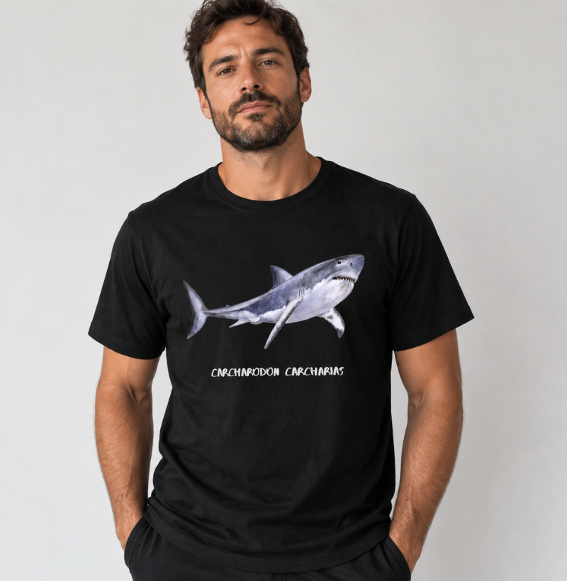 Carcharodon carcharias - Imagem 2