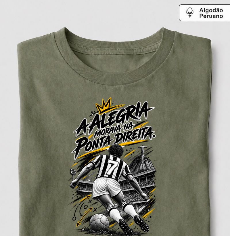 Alvinegros - O 7 que morava na ponta direita. - Imagem 4