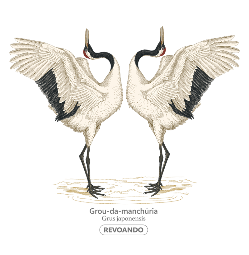 Traços Alados - Grou-da-manchúria (Tsuru) - Moletom Hoodie - Imagem 2