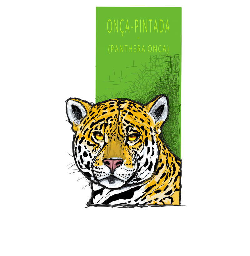 Camiseta Onça-Pintada - Imagem 3