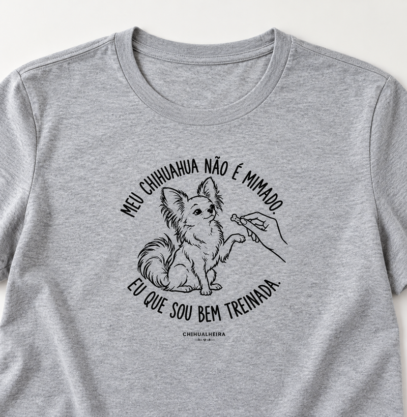Meu chihuahua não é mimado. - Imagem 3