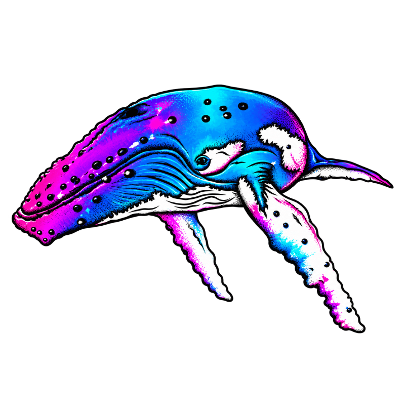 Neon Humpback Whale - Imagem 2