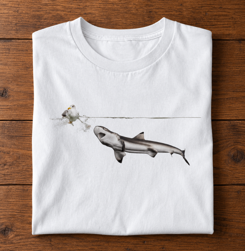 Shark Hunt - Imagem 4