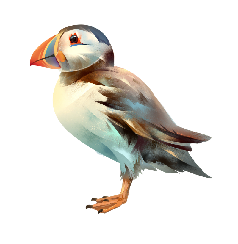 Sea Parrot - Imagem 2