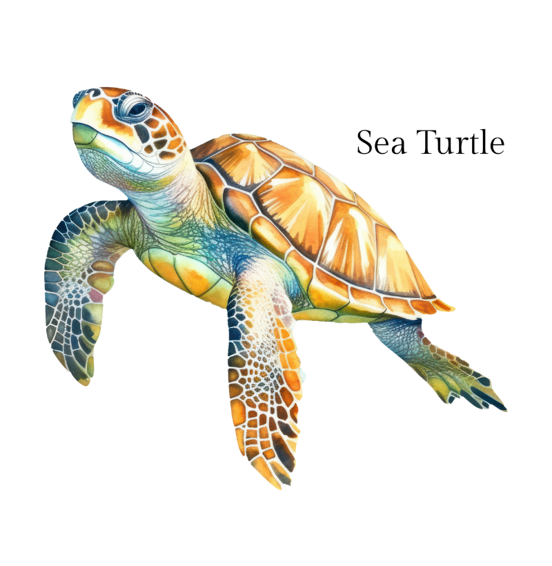 Sea Turtle - Imagem 2