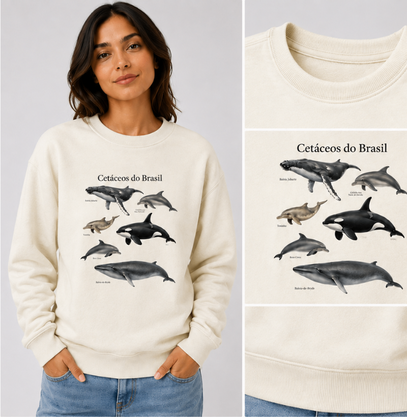 Cetáceos do Brasil - Imagem 3