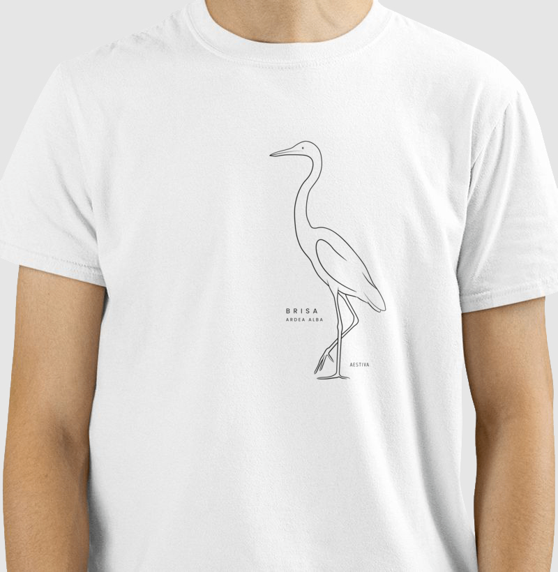 BRISA - Ardea alba - Imagem 3