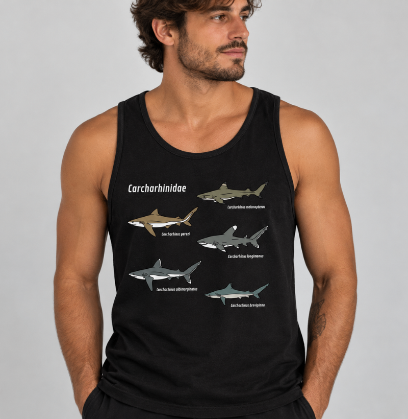 Carcharhinidae - Imagem 3