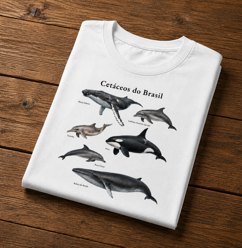 Cetáceos do Brasil - Imagem 4
